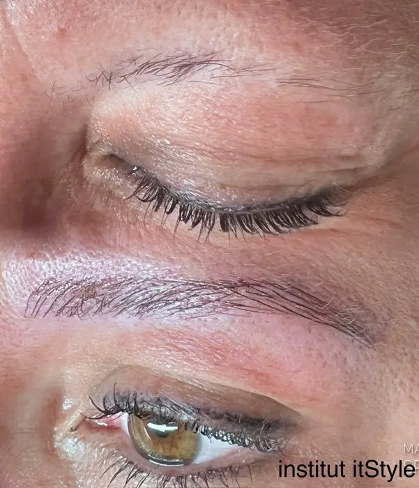ItStyle Saint-Chamond - Photos Dermopigmentation – Microshading - 11