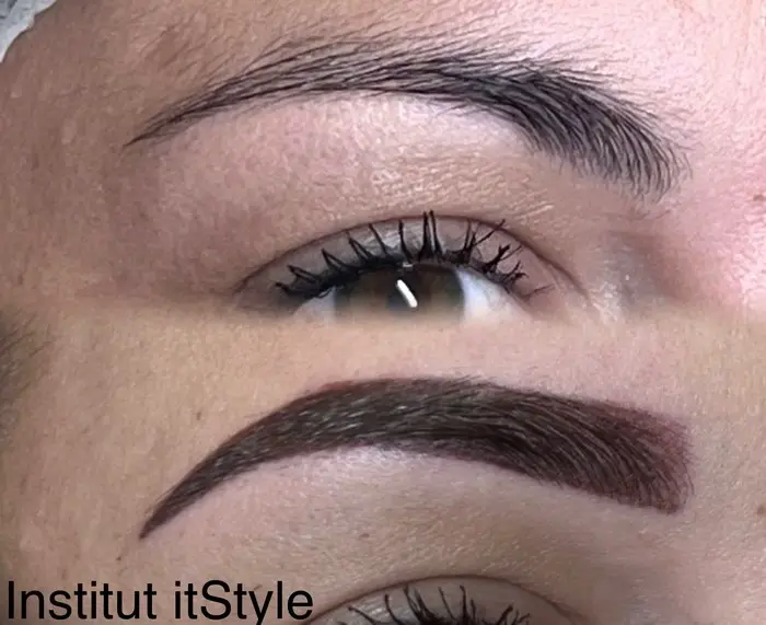 ItStyle Saint-Chamond - Photos Dermopigmentation – Microshading - 9